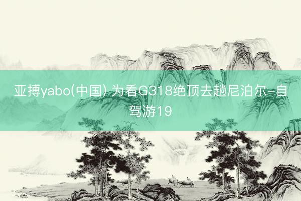 亚搏yabo(中国) 为看G318绝顶去趟尼泊尔-自驾游19