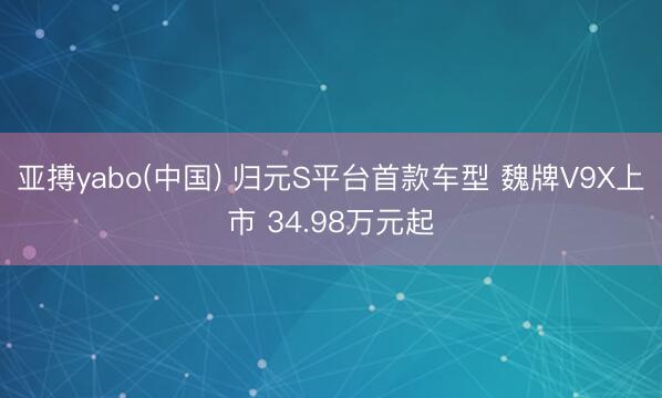 亚搏yabo(中国) 归元S平台首款车型 魏牌V9X上市 34.98万元起
