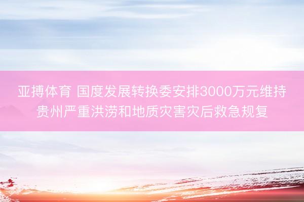 亚搏体育 国度发展转换委安排3000万元维持贵州严重洪涝和地质灾害灾后救急规复