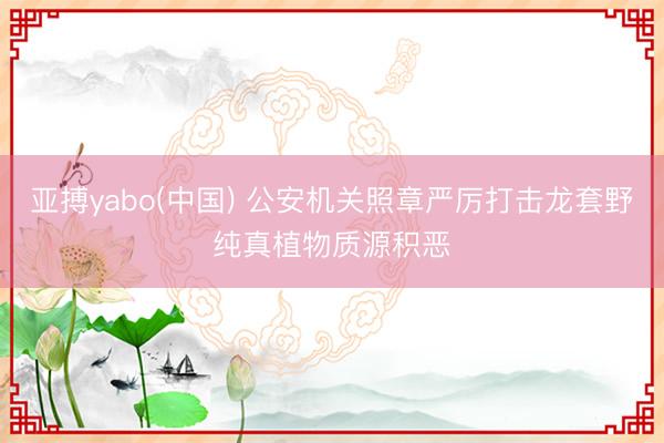 亚搏yabo(中国) 公安机关照章严厉打击龙套野纯真植物质源积恶