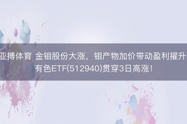 亚搏体育 金钼股份大涨，钼产物加价带动盈利擢升，有色ETF(512940)贯穿3日高涨！