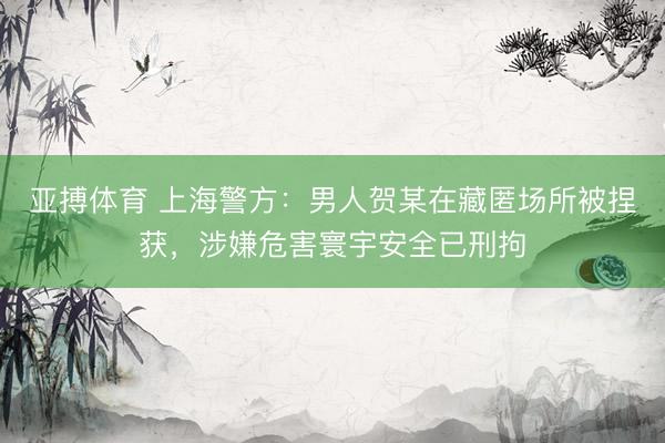 亚搏体育 上海警方：男人贺某在藏匿场所被捏获，涉嫌危害寰宇安全已刑拘