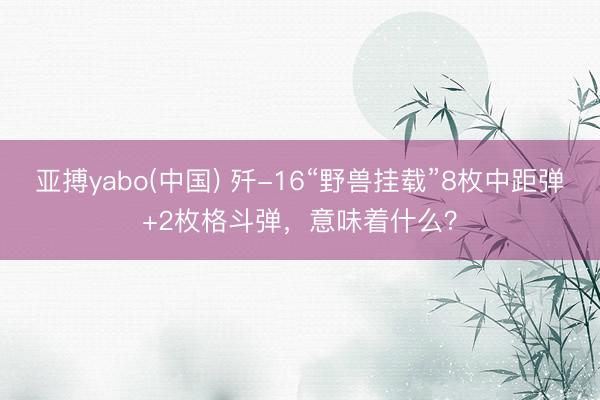 亚搏yabo(中国) 歼-16“野兽挂载”8枚中距弹+2枚格斗弹，意味着什么？