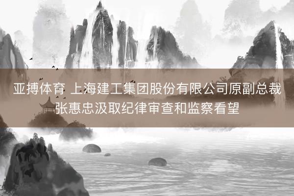 亚搏体育 上海建工集团股份有限公司原副总裁张惠忠汲取纪律审查和监察看望