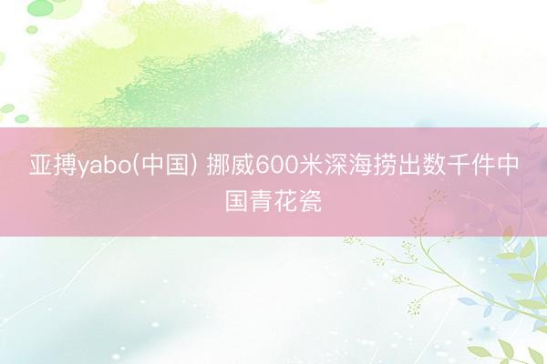 亚搏yabo(中国) 挪威600米深海捞出数千件中国青花瓷