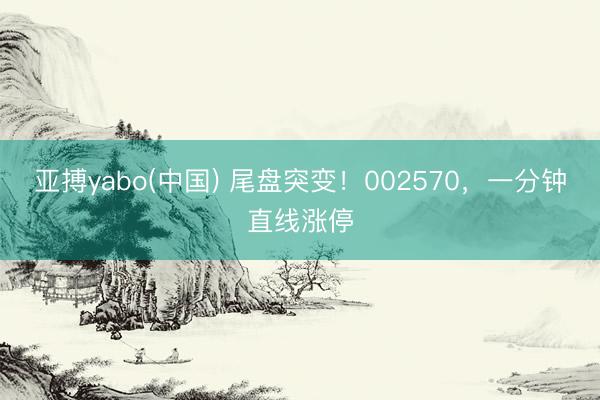 亚搏yabo(中国) 尾盘突变！002570，一分钟直线涨停