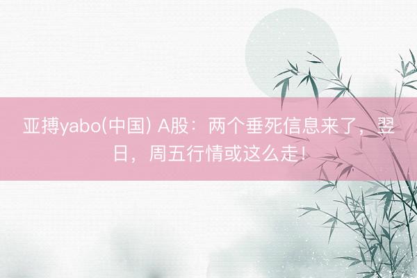 亚搏yabo(中国) A股：两个垂死信息来了，翌日，周五行情或这么走！
