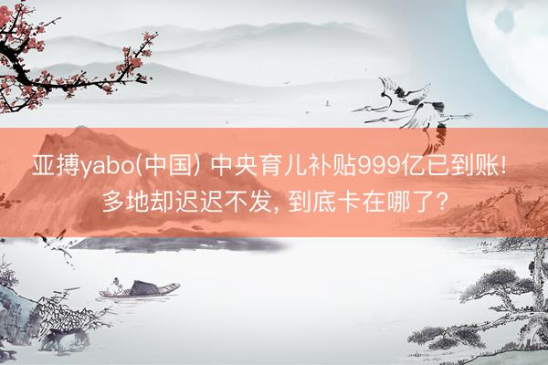 亚搏yabo(中国) 中央育儿补贴999亿已到账! 多地却迟迟不发， 到底卡在哪了?