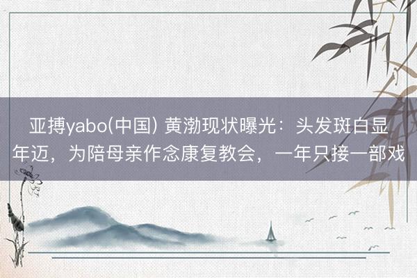亚搏yabo(中国) 黄渤现状曝光：头发斑白显年迈，为陪母亲作念康复教会，一年只接一部戏