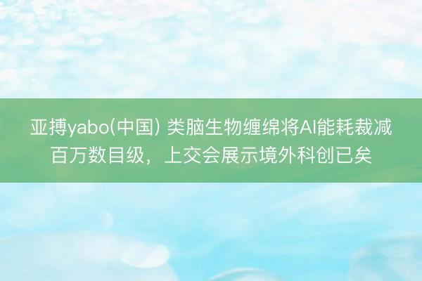 亚搏yabo(中国) 类脑生物缠绵将AI能耗裁减百万数目级,上交会展示境外科创已矣