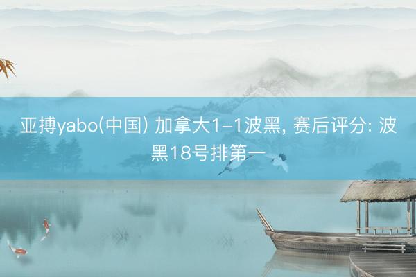 亚搏yabo(中国) 加拿大1-1波黑， 赛后评分: 波黑18号排第一
