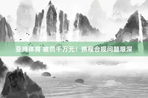 亚搏体育 被罚千万元！携程合规问题艰深