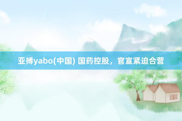 亚搏yabo(中国) 国药控股,官宣紧迫合营
