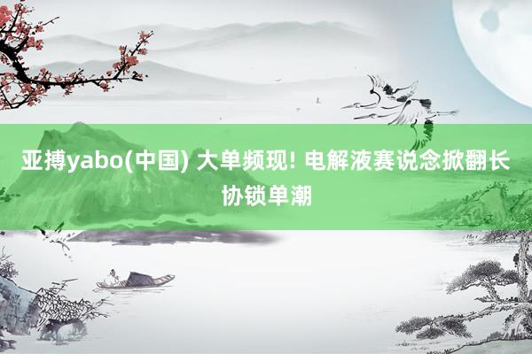 亚搏yabo(中国) 大单频现! 电解液赛说念掀翻长协锁单潮
